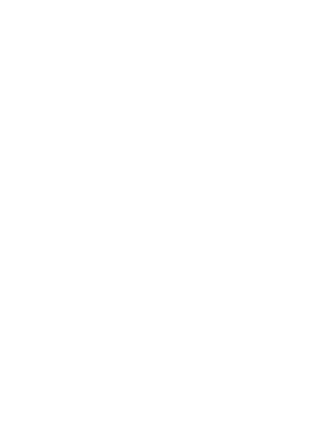 Logo minisite